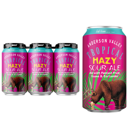 Anderson Valley Brewing Company Hazy Tropical Sour Ale 6pk 12oz Can 4.2% ABV