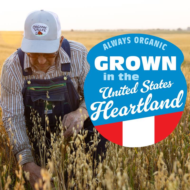 Organic Valley Cinnamon Spice Oat Coffee Creamer 32oz