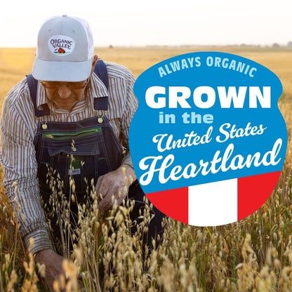 Organic Valley Oatmeal Cookie Oat Coffee Creamer 32oz