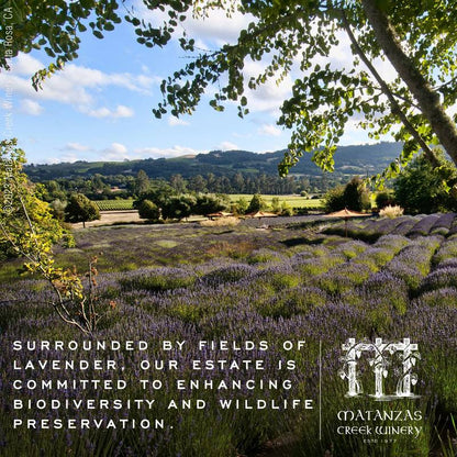 Matanzas Creek Chenin Blanc 750ml Bottle