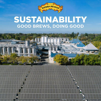 Sierra Nevada Cosmic Little Thing Hazy Double IPA 19.2oz Can