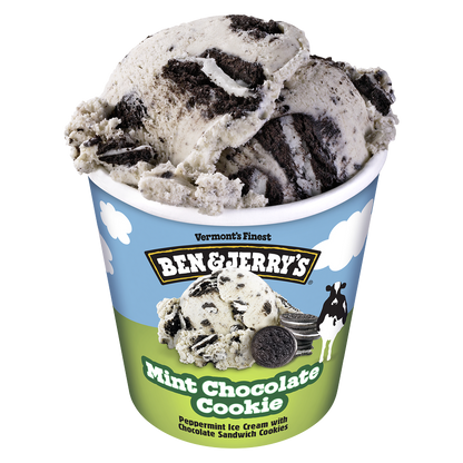 Ben & Jerry's Mint Chocolate Cookie Ice Cream Pint