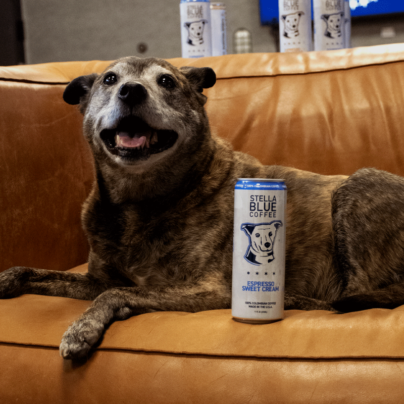 Stella Blue Coffee Espresso Sweet Cream, 11 oz