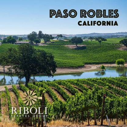 Maddalena Cabernet Sauvignon 750ml 14.5% ABV