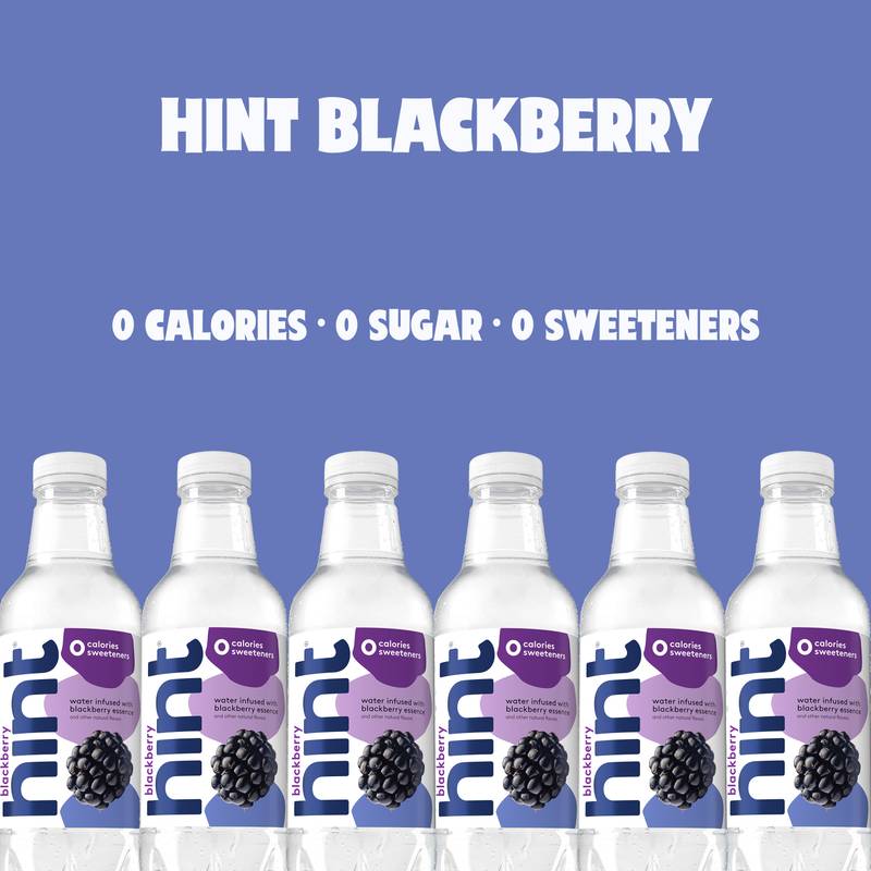 Hint Blackberry Water 16oz Btl