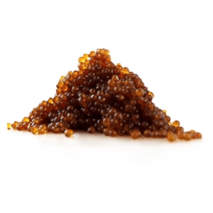 Pacific Plaza Osetra Caviar with MP Spoon 0.52oz