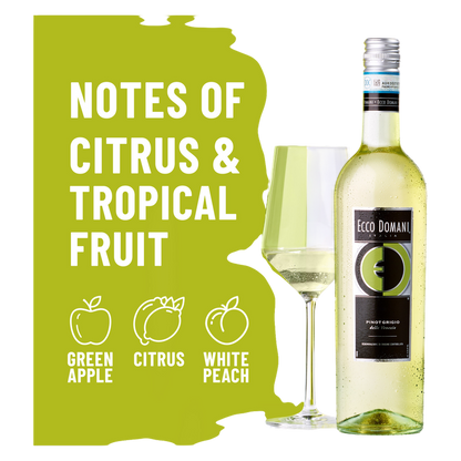 Ecco Domani Pinot Grigio 750ml