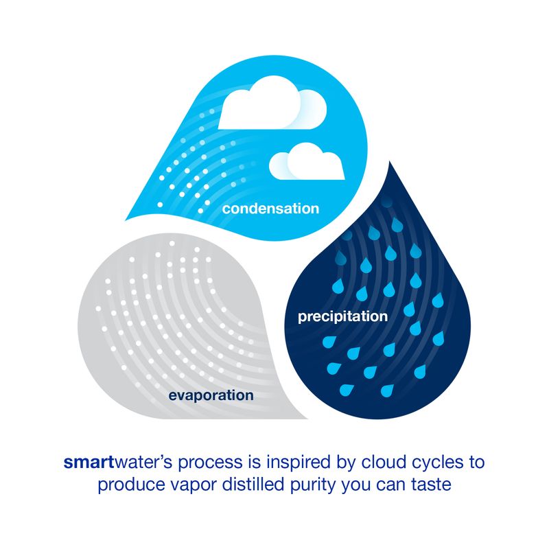 Smartwater 6pk 16.9oz Btl