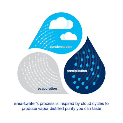 Smartwater 6pk 16.9oz Btl