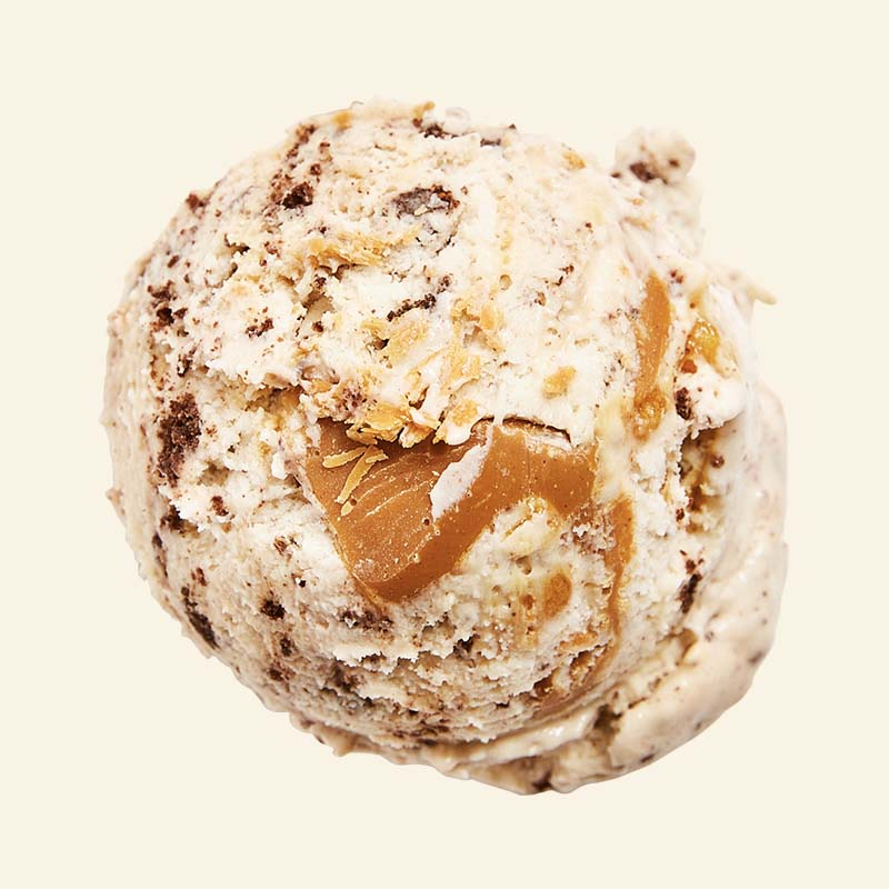 Van Leeuwen Vegan Peanut Butter Brownie Honeycomb Ice Cream 14oz