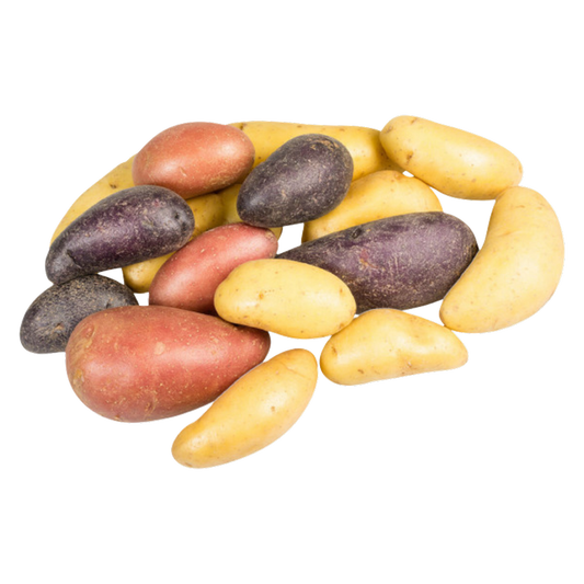 Organic Mixed Baby Potatoes - 1.5lbs