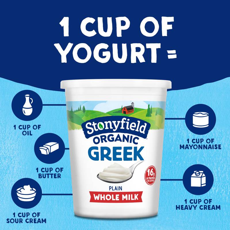 Stonyfield Organic Plain Greek Whole Milk Yogurt - 30oz