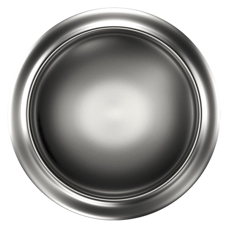 Goose Island IPA Single 25oz Can