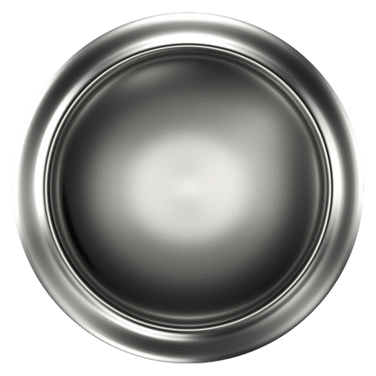 Goose Island IPA Single 25oz Can