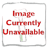 Scuttlebutt Amber Ale 6pk 12oz Btl