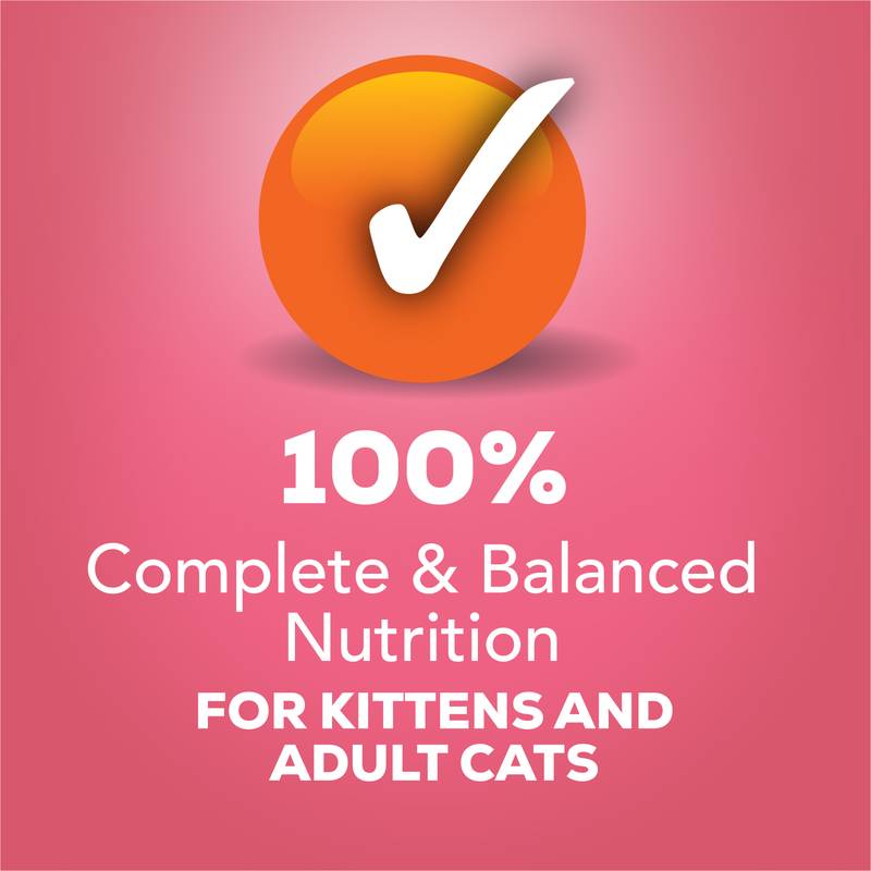 Friskies Salmon Dinner Pate Cat 2 5.5 oz