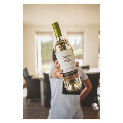 Casillero del Diablo Sauvignon Blanc 750 ml