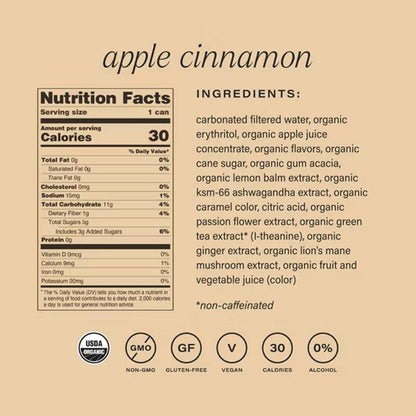 Hiyo Apple Cinnamon 4pk 12oz Can