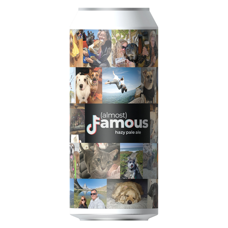 BOTTLE LOGIC LIGHT 12PKC