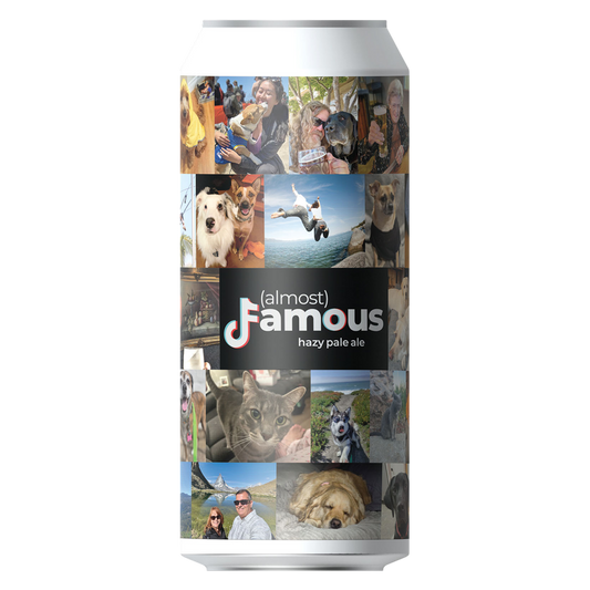 BOTTLE LOGIC LIGHT 12PKC