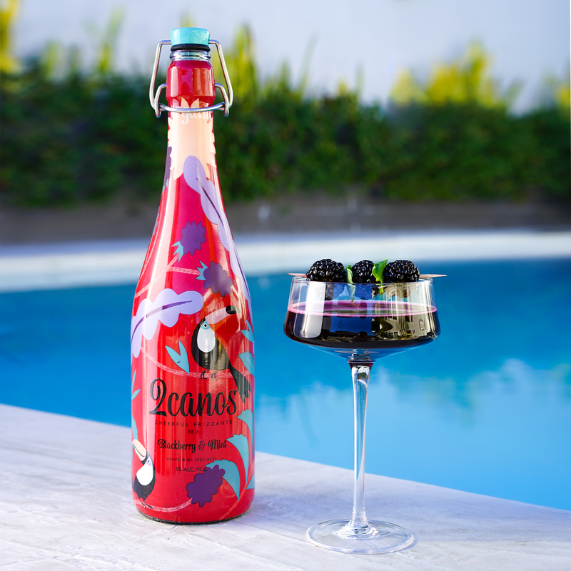 2canos Blackberry & Mint Frizzante 750ml 5% ABV