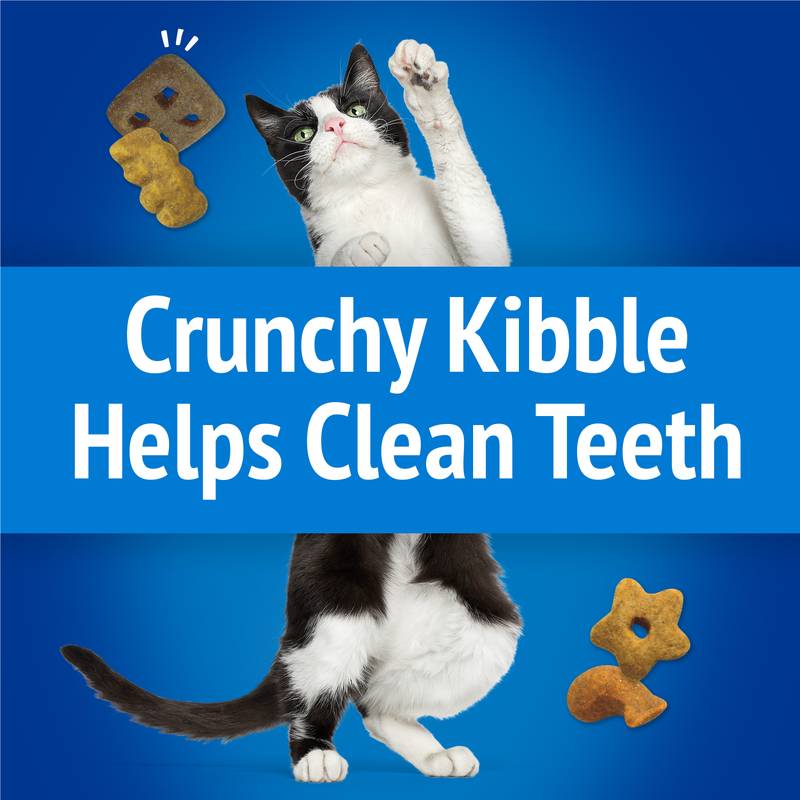 Friskies Party Mix Beachside Crunch Cat Treats, 2.1oz.
