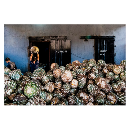 Hiatus Tequila Blanco 750ml