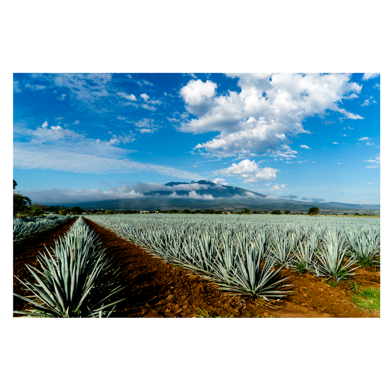 Hiatus Tequila Reposado 750ml