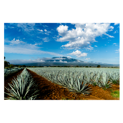 Hiatus Tequila Reposado 750ml