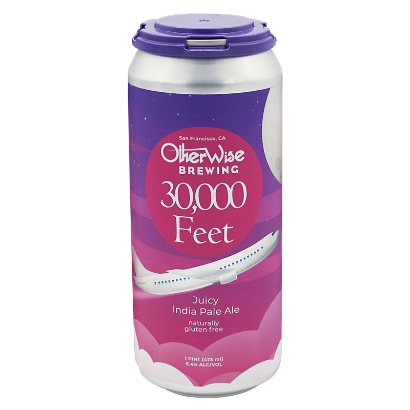 Otherwise Brewing Seasonal Gluten Free 4pk 16oz Cans