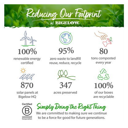 Bigelow Constant Comment (Black Tea) 20ct