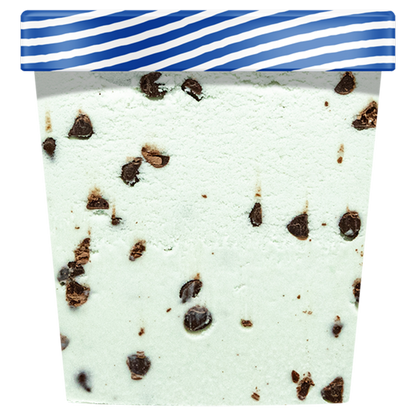 NadaMoo! Organic Mint Chip Dairy-Free Frozen Dessert 16oz