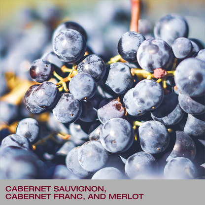 JUSTIN ISOSCELES Paso Robles, Red Blend Wine 750ml