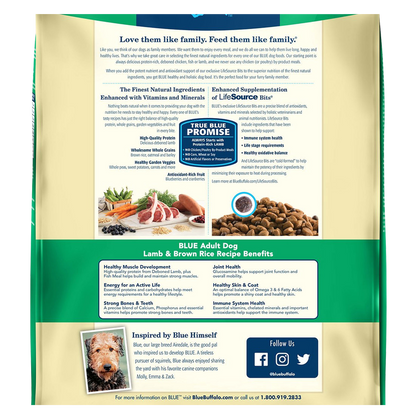 Blue Buffalo Adult Lamb & Brown Rice Dry Dog Food 6lb