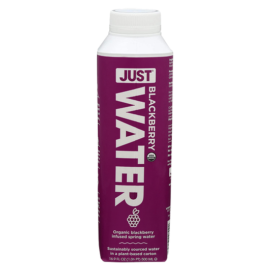 Just Water Blackberry Infused Organic Water 16.9oz Btl