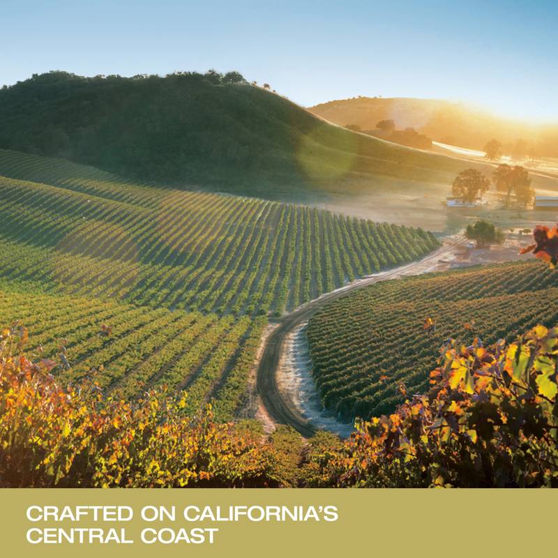 JUSTIN Sauvignon Blanc Paso Robles, White Wine 750ml