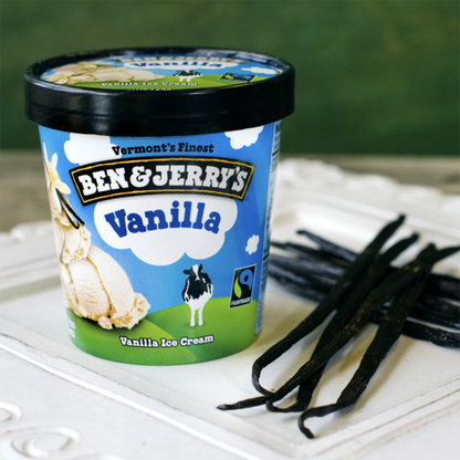 Ben & Jerry's Vanilla Pint