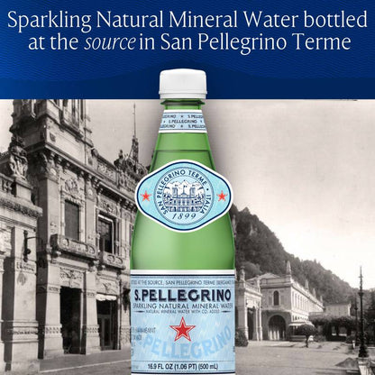 San Pellegrino Sparkling Water 12pk 1L Btl