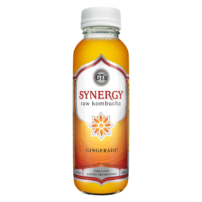 GT's SYNERGY Gingerade Kombucha 10oz Bottle