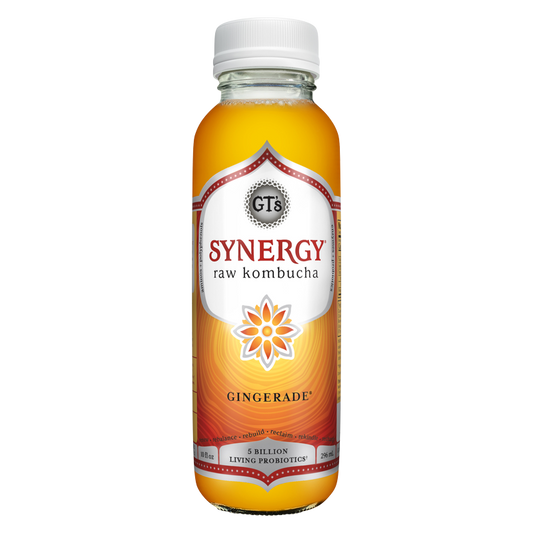 GT's SYNERGY Gingerade Kombucha 10oz Bottle