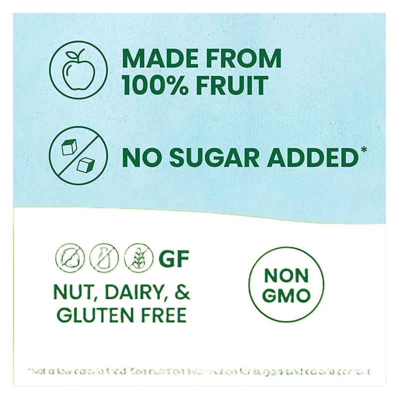 GoGo Squeez Applesauce Pouch 3.2oz 4pk