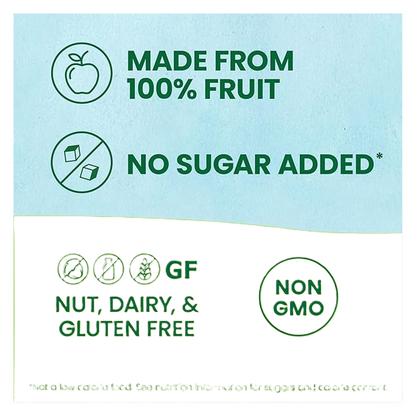 GoGo Squeez Applesauce Pouch 3.2oz 4pk