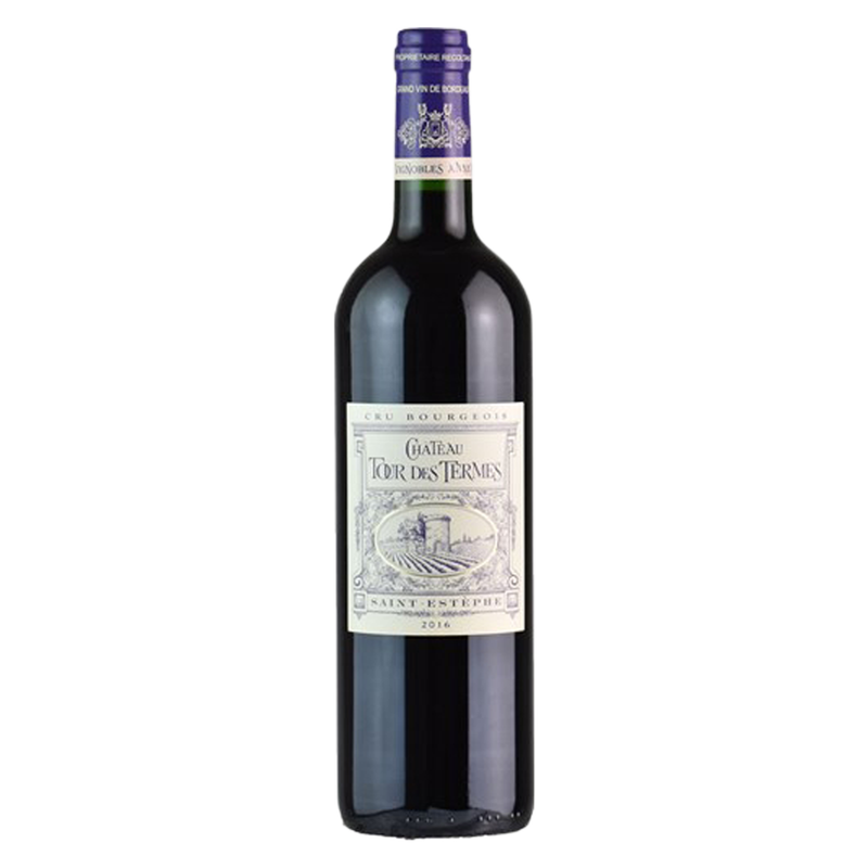 Chateau Tour des Termes Saint-Estephe 750ml