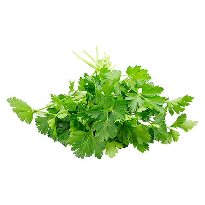 Organic Parsley - 0.75oz