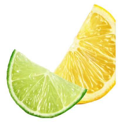 GoodPop Lemon Lime Juice & Bubbly Water 6pk 7.5oz Mini Can