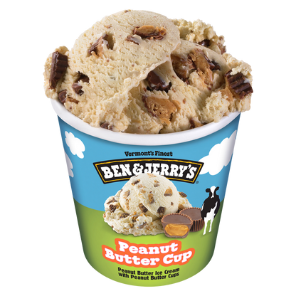 Ben & Jerry's Peanut Butter Cup Ice Cream Pint