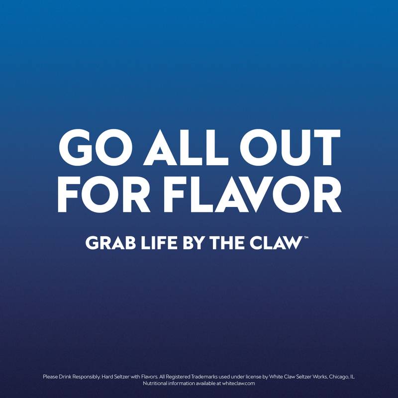 White Claw Surge Blueberry Single 19.2oz Can 8.0% ABV