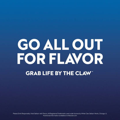 White Claw Surge Blueberry Single 19.2oz Can 8.0% ABV