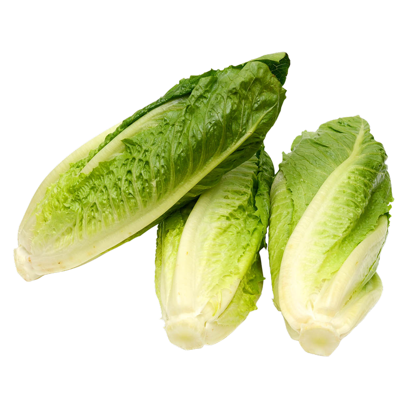 Organic Romaine Lettuce - 3ct