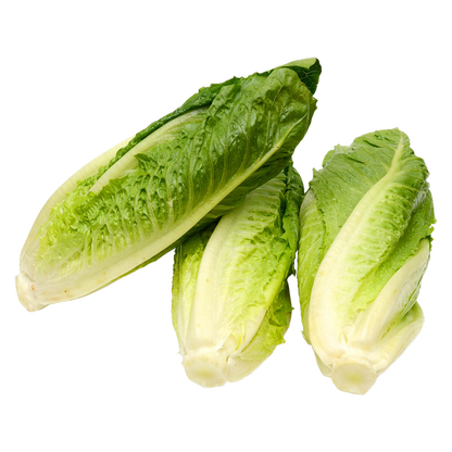 Organic Romaine Lettuce - 3ct
